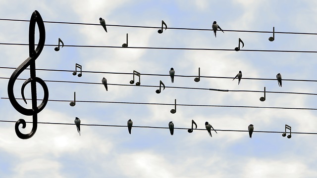 Unser Musikteam